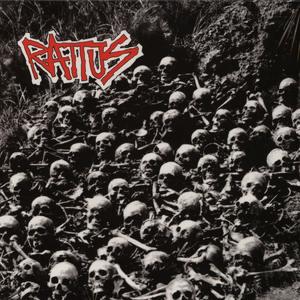 Rattus - Rattus