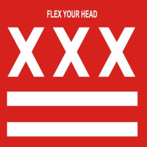 AA VV - Flex Your Head