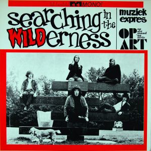 AA VV - Searching In The Wilderness