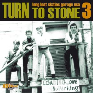 AA VV - Turn To Stone VoL.3 (Long Lost Sixties Garage USA)
