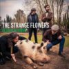 The Strange Flowers Pearls At Swine