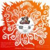 No Strange Universi e Trasparenze (Orange sleeve)