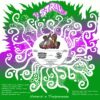 No Strange - Universi e Trasparenze (Green sleeve) - immagine 2