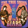 The Liars - The True Sound of the Liars - Anthology 1985/1990 - immagine 2