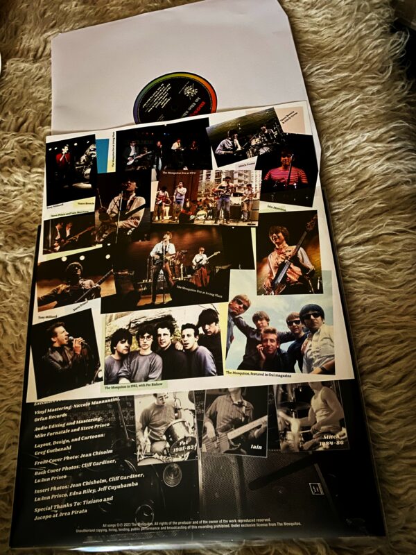 The Mosquitos - In The Shadows - immagine 2
