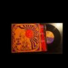 Project V - There’s No Sorrows - immagine 2