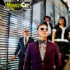 Monkey Cat - Psychotic Wonderland - immagine 4