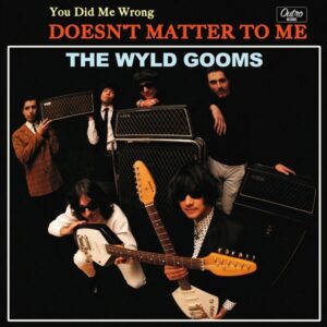 The Wyld Gooms - You Did Me Wrong